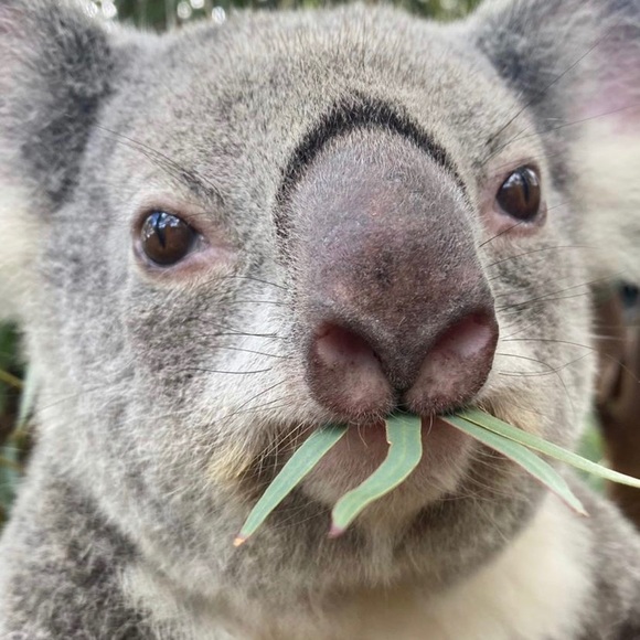 Meet your Posher, Josh - Picture 1 of 1